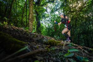 BIB: 
                            <button type="button" onclick="openModal(16010001)" class="btn btn-primary btn-sm float-right btn-popup" data-toggle="modal" data-target=".modal-high-quality">
                        <i class="fas fa-shopping-cart"></i> Add to Cart
                    </button>
                                            <button type="button" onclick="isThisMe(16010001, true)" class="btn btn-success btn-sm float-right btn-popup btn-isme hidden" data-toggle="tooltip" data-placement="bottom" title="นี่คือรูปของคุณใช่ไหม คลิกที่นี่เพื่อเอาเข้าอัลบั้ม">
                        <i class="fas fa-plus"></i> Add to album
                    </button>
                    <button type="button" onclick="isThisMe(16010001, false)" class="btn btn-warning btn-sm float-right btn-popup btn-isnotme hidden">
                        <i class="fas fa-ban"></i> Remove from album
                    </button>